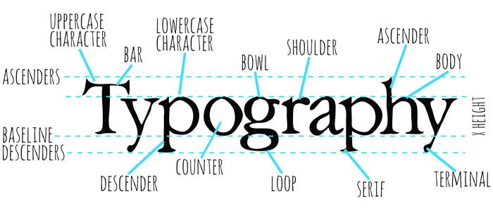 Typography Words You Need To Know Designcontest